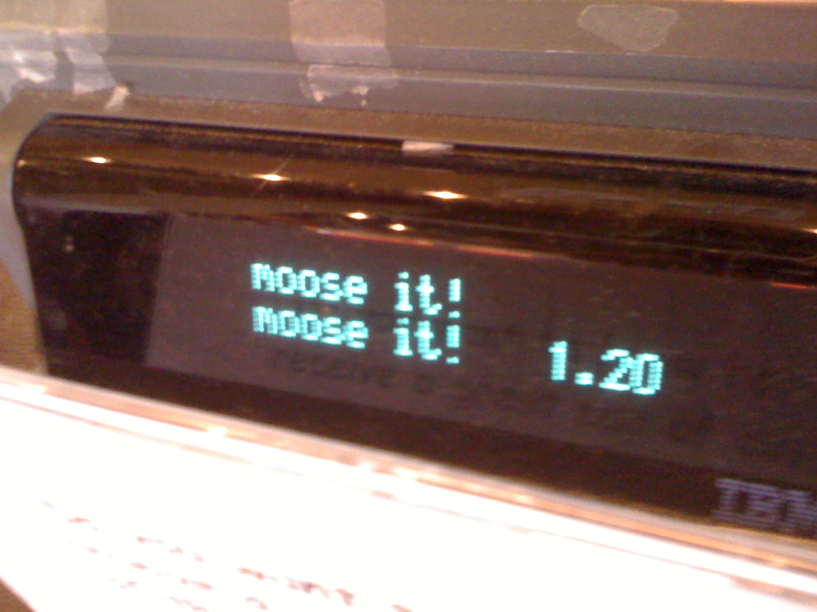 Moose it! Moose it!