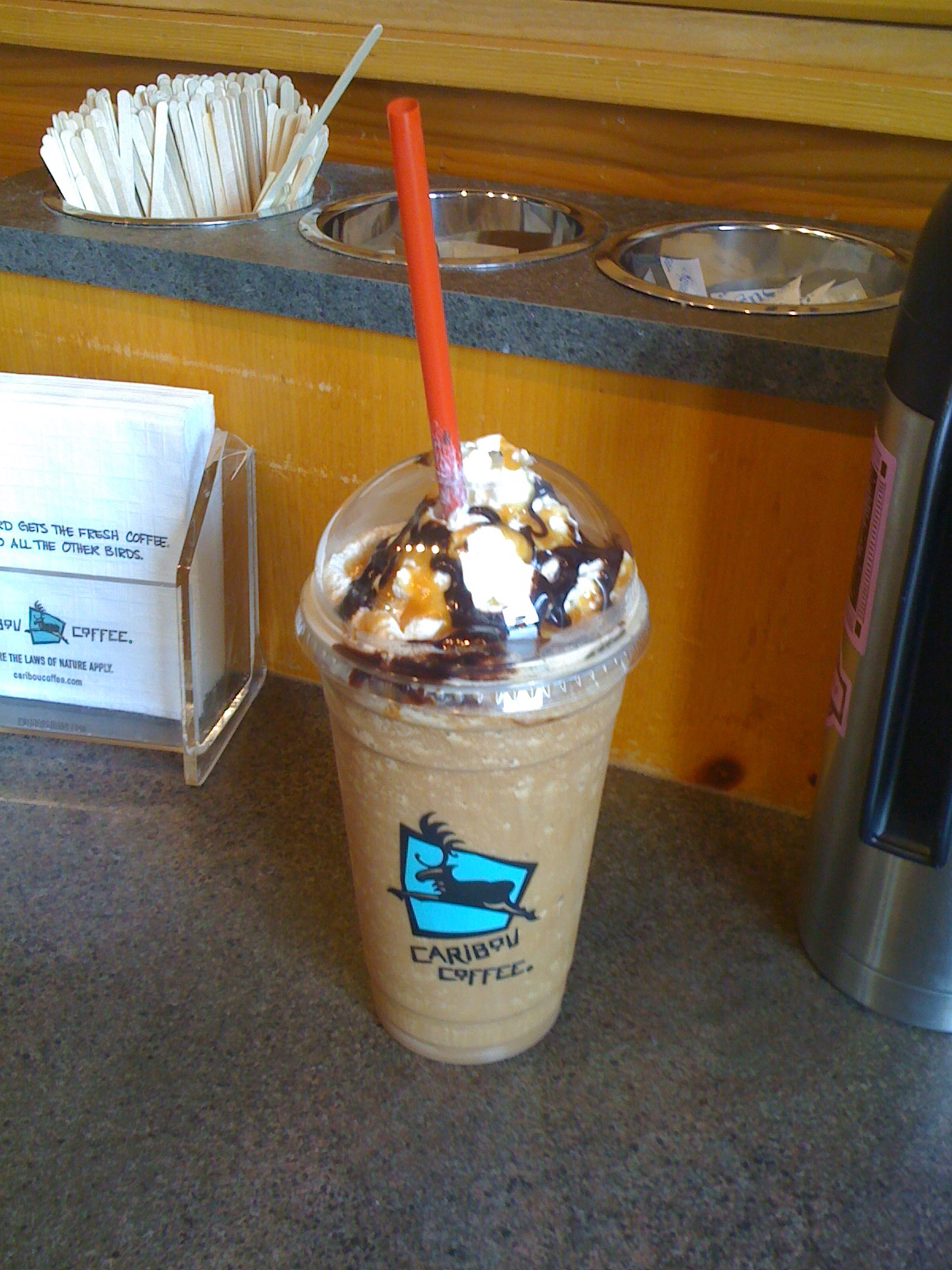 Turtle Mocha Turtle Mocha